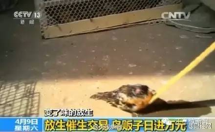 中国第一位入狱童星,曾是当红童星却在28岁入狱