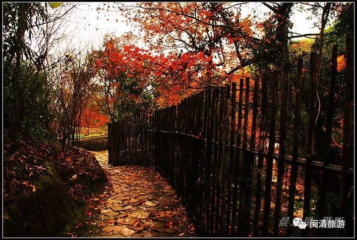 黄楮林温泉度假村有没有独栋,黄楮林和大明谷温泉哪个好