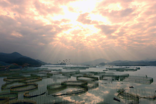 福鼎各乡镇历史地名,福鼎最有名的镇名