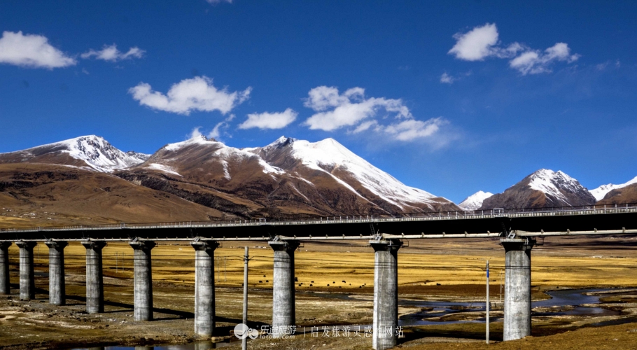 逃离无人区,逃离青海