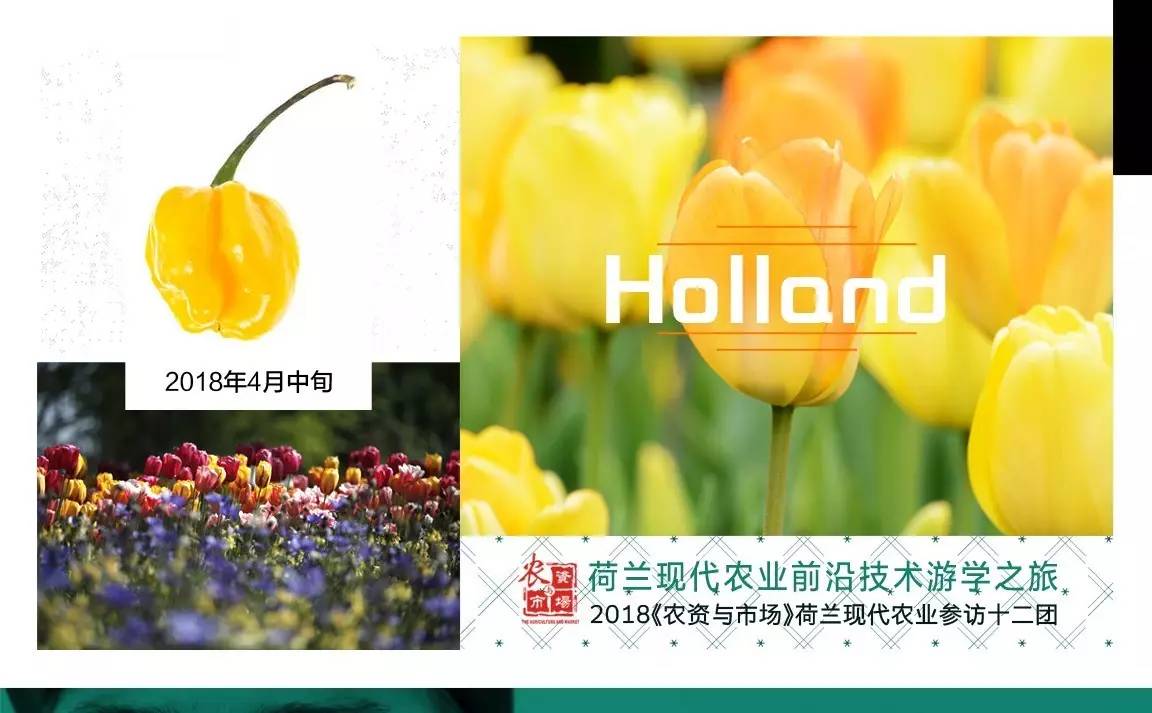 草甘膦除草剂与草铵膦除草剂,草甘膦除草剂和草铵膦除草剂