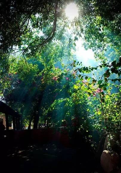 阿联酋免签证国家有几个,阿联酋全球免签吗