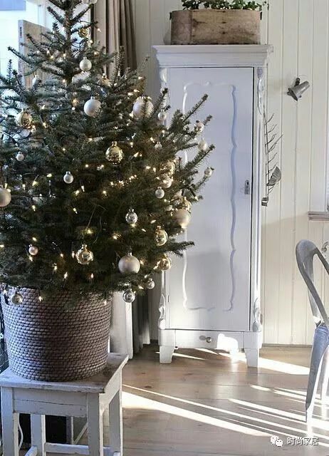 不一样的圣诞树装饰,一棵枯树怎么装饰成圣诞树