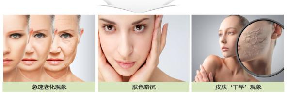 charmzenus彩妆套装,charmzenus化妆套盒