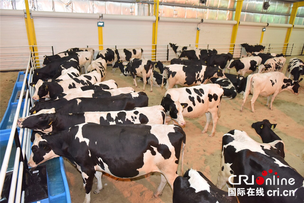 断交危机怎么解决,断交危机