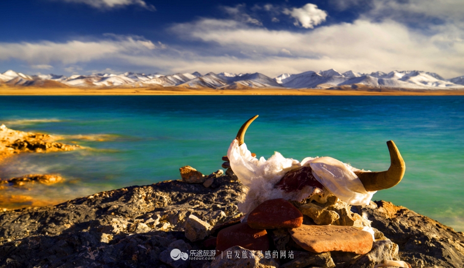 逃离无人区,逃离青海