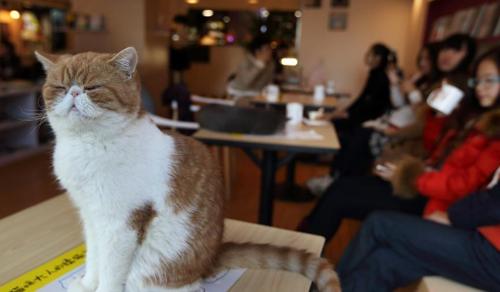 南京江宁附近哪里有书店,江宁龙湖天街西西弗书店