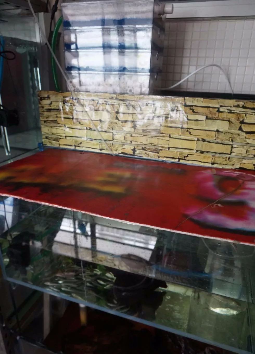 玩得细致、专业，出手不凡！