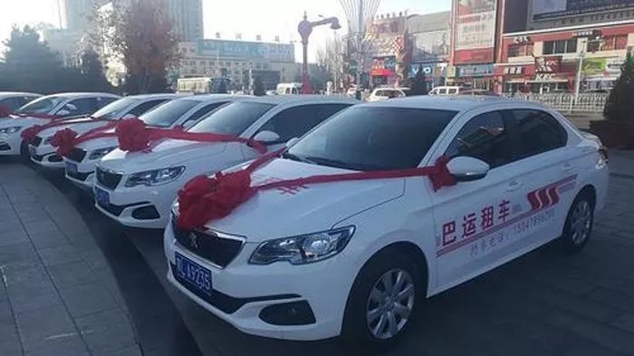 鸿雁知天下最新新闻,鸿雁知天下视频