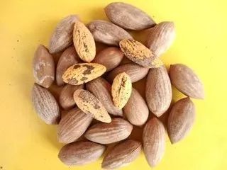 绍兴旅游看越剧,绍兴冬天周边一日游好去处