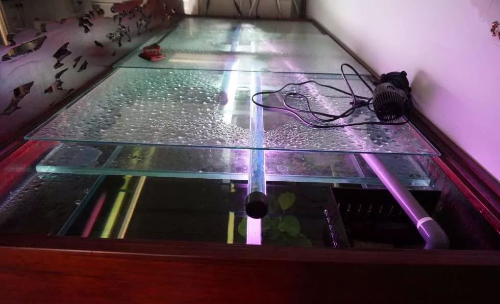 玩得细致、专业，出手不凡！