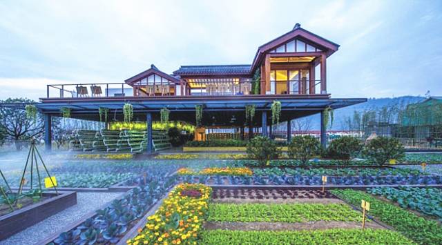 龙泉驿区幸福美丽乡村建设,龙泉驿阳光村乡村振兴项目