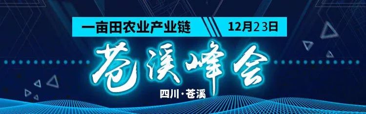 了不起！他的猕猴桃拿下电商一千二百万大单！
