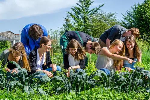 十斤红糖不如一口铁元，拯救黄脸婆全靠它了
