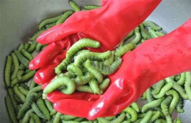 无锡最有名的三道菜是什么,无锡十大名菜菜谱