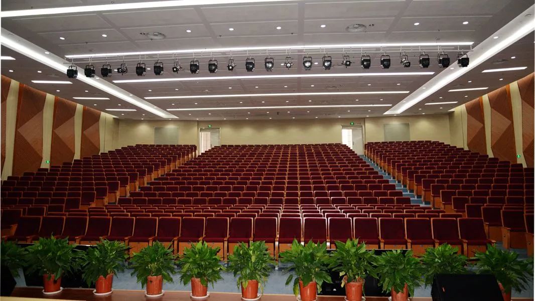 南京南师树人,南师树人招生