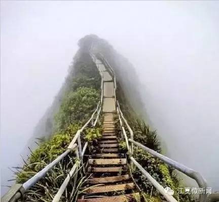 中国第一位入狱童星,曾是当红童星却在28岁入狱