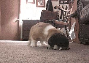 能像这样炸飞机，媳妇对你来说就是累赘