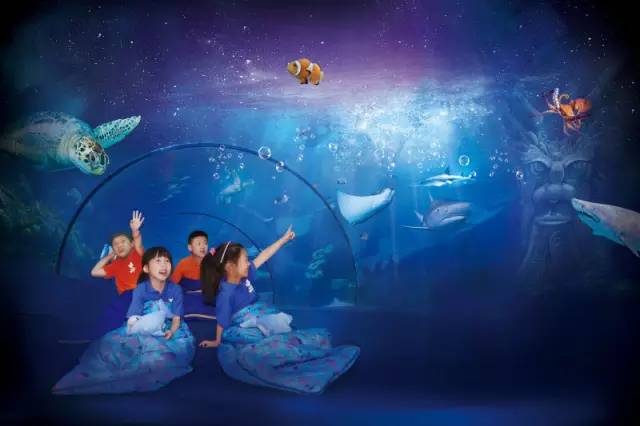 上海迪士尼乐园迷宫体验,上海迪士尼乐园奇幻谷