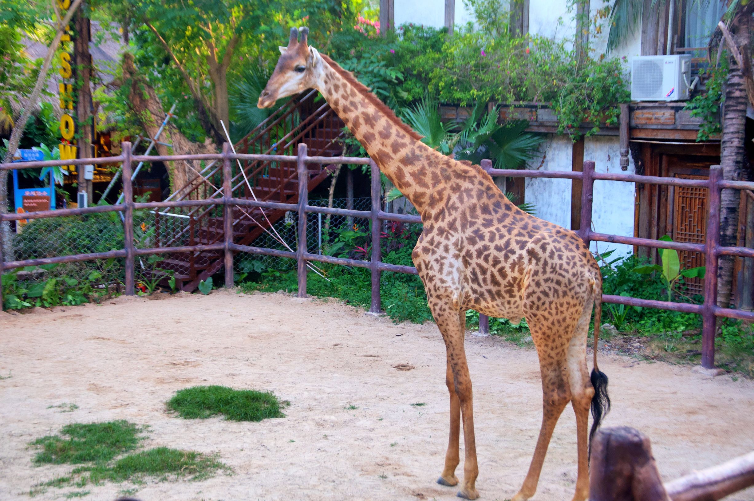 三亚度假之旅完美结束,三亚度假巨无霸五天五夜玩不腻