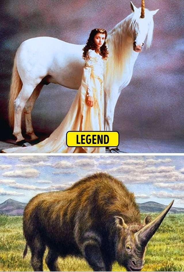 神话传奇故事真实的,神话传说与真实事件