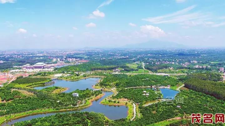 美美美田园风光,茂名最美森林公园休闲游玩好去处