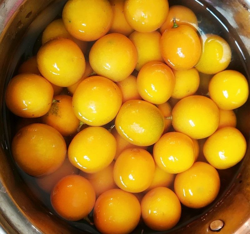 黄金果怎么吃治咳嗽,黄金果治咳嗽效果怎么样