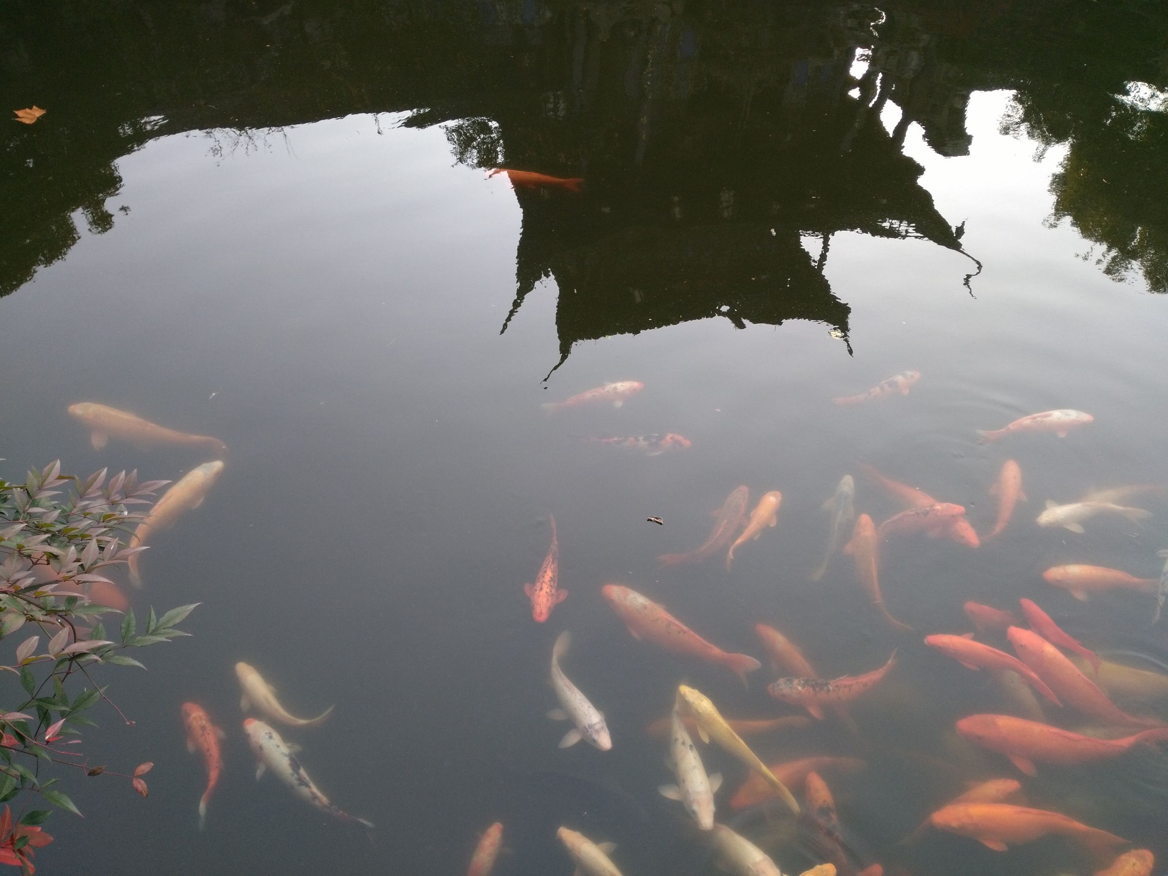 胡雪岩与罗四太太,胡雪岩旧居和故居多远