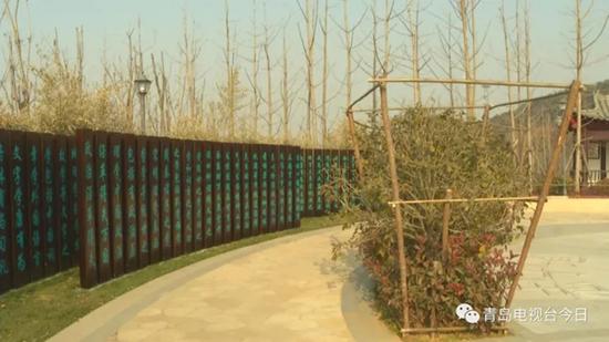 青岛康有为纪念馆,青岛康有为纪念馆图片