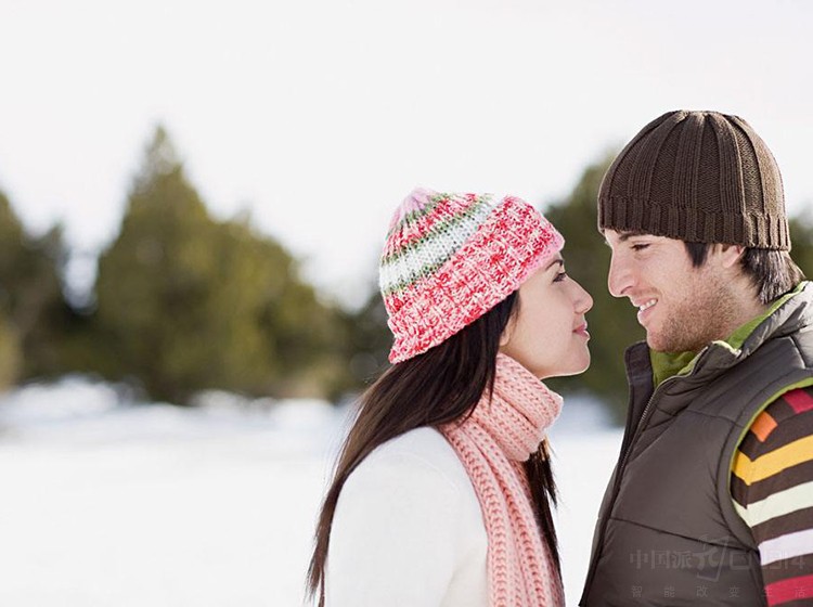想和恋人来场“冬季恋歌”为什么电炖锅能让爱更加坚固?