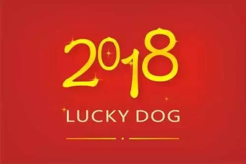 幼儿园元旦手工制作:鞭炮灯笼卡纸舞龙等,8个教程“年味”十足