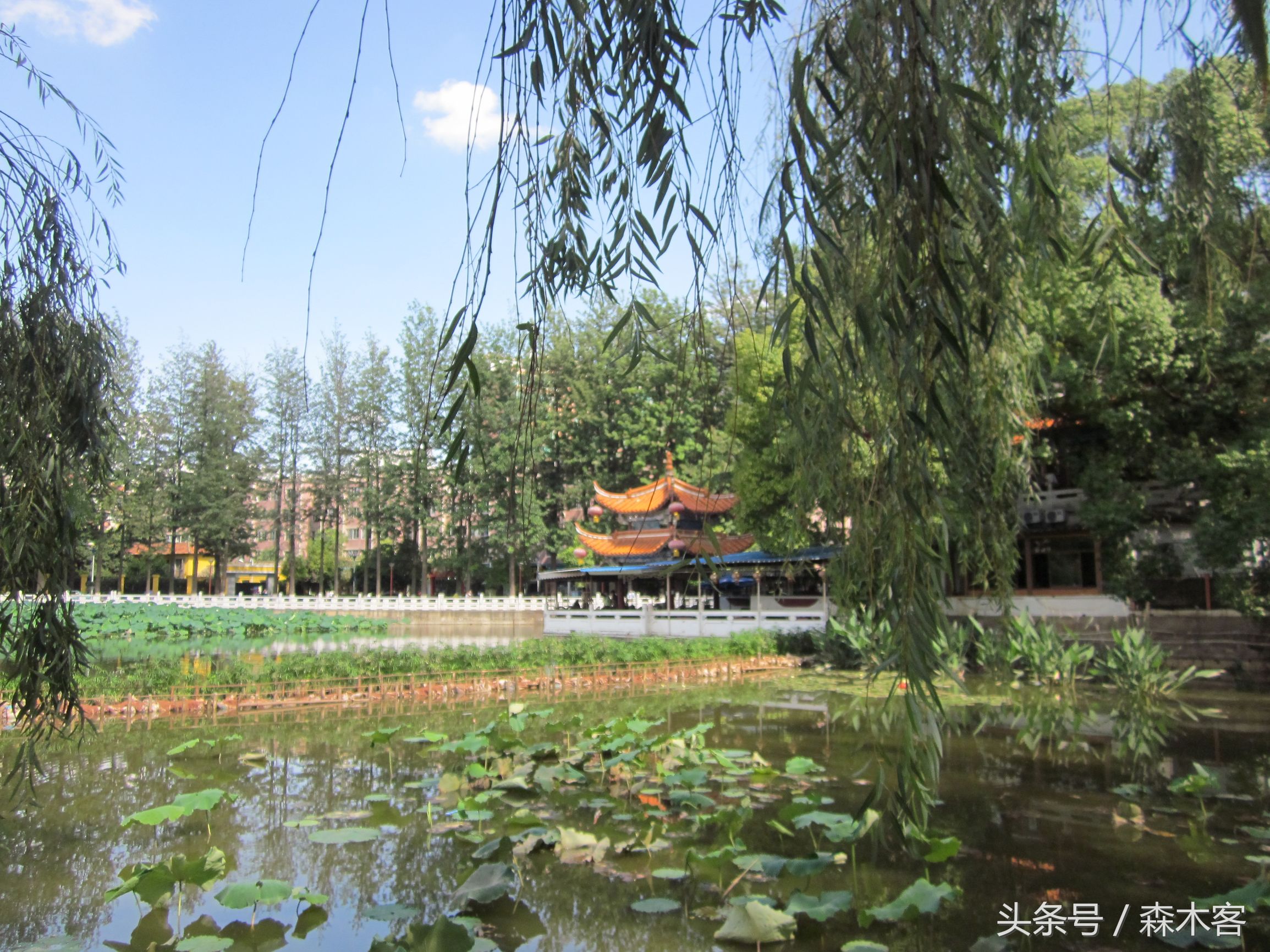 昆明旅游必打卡滇池后海,彩云之南滇池之旅