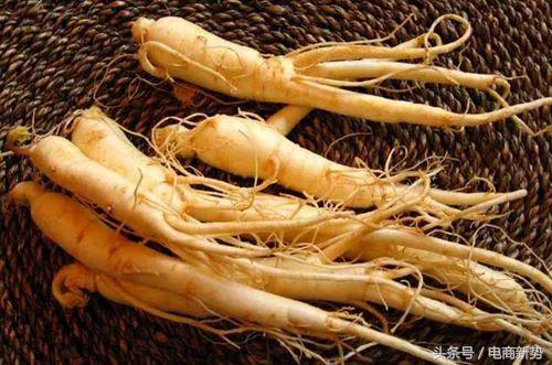 小棒槌,小棒槌大产业