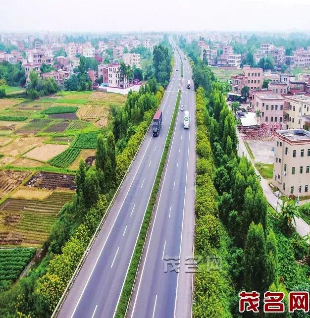 美美美田园风光,茂名最美森林公园休闲游玩好去处