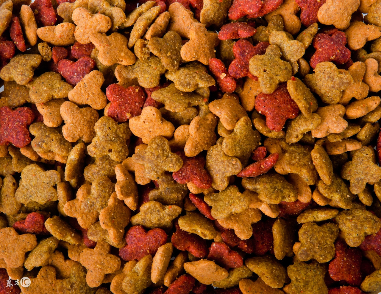 家里还在吃这几种猫粮的赶紧扔,家里几种猫粮可以混着吃吗