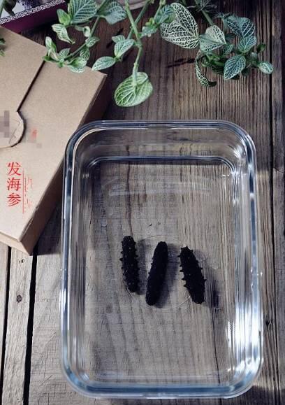 怎么挑发好的海参,怎样海参是好的海参