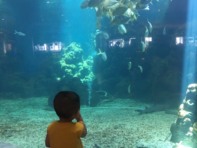 带上兜兜去旅游,带着小嘟嘟去旅游