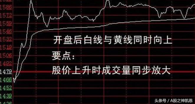 学习炒股新手入门50条,新手炒股入门基本知识