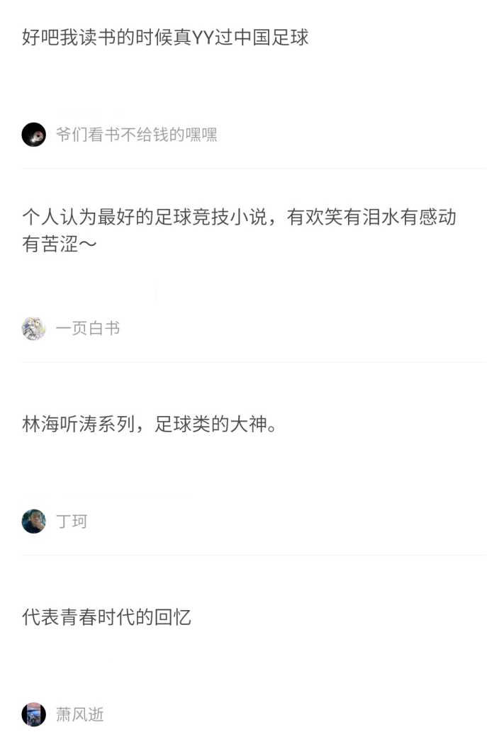 不得不看的高质量小说,最好看的完本长篇足球小说