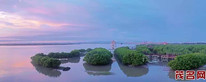 美美美田园风光,茂名最美森林公园休闲游玩好去处