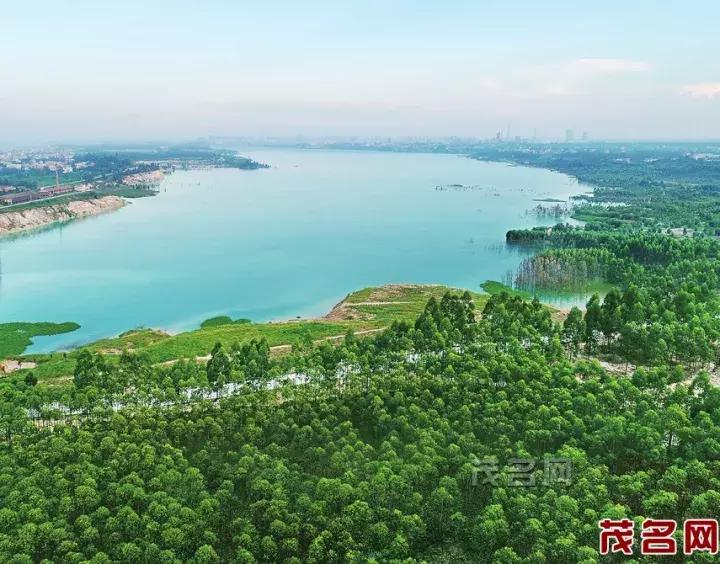 美美美田园风光,茂名最美森林公园休闲游玩好去处