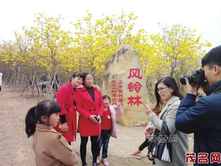 美美美田园风光,茂名最美森林公园休闲游玩好去处