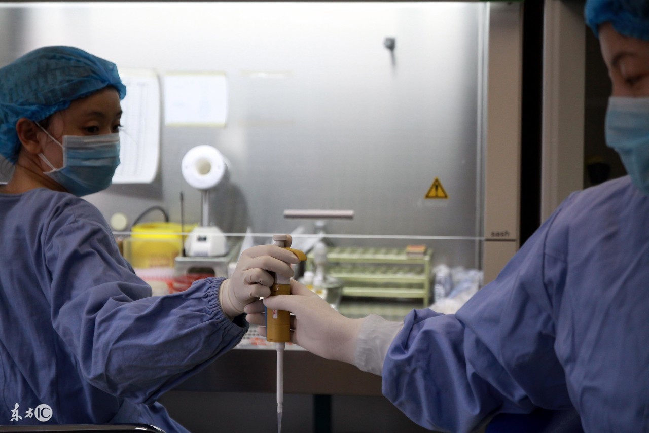 蜜蜂人工体内授精全过程,蜜蜂授精的正确方法