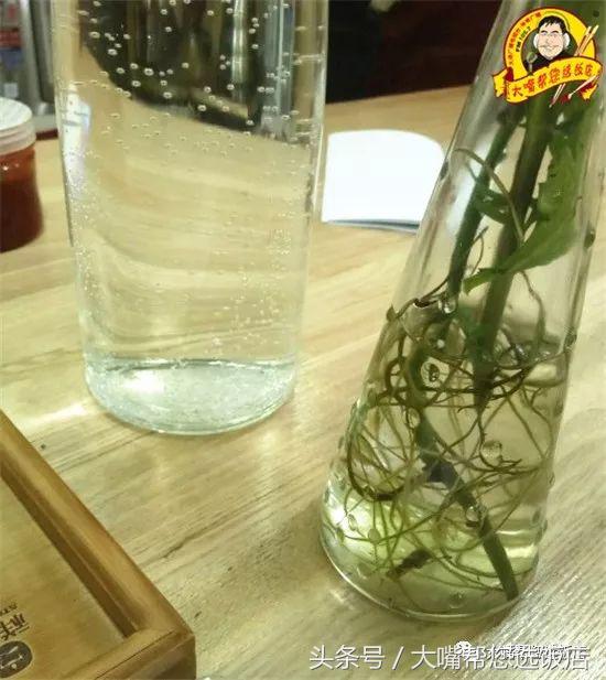 每日一杯好喝的咖啡,简单好喝的手冲咖啡方式