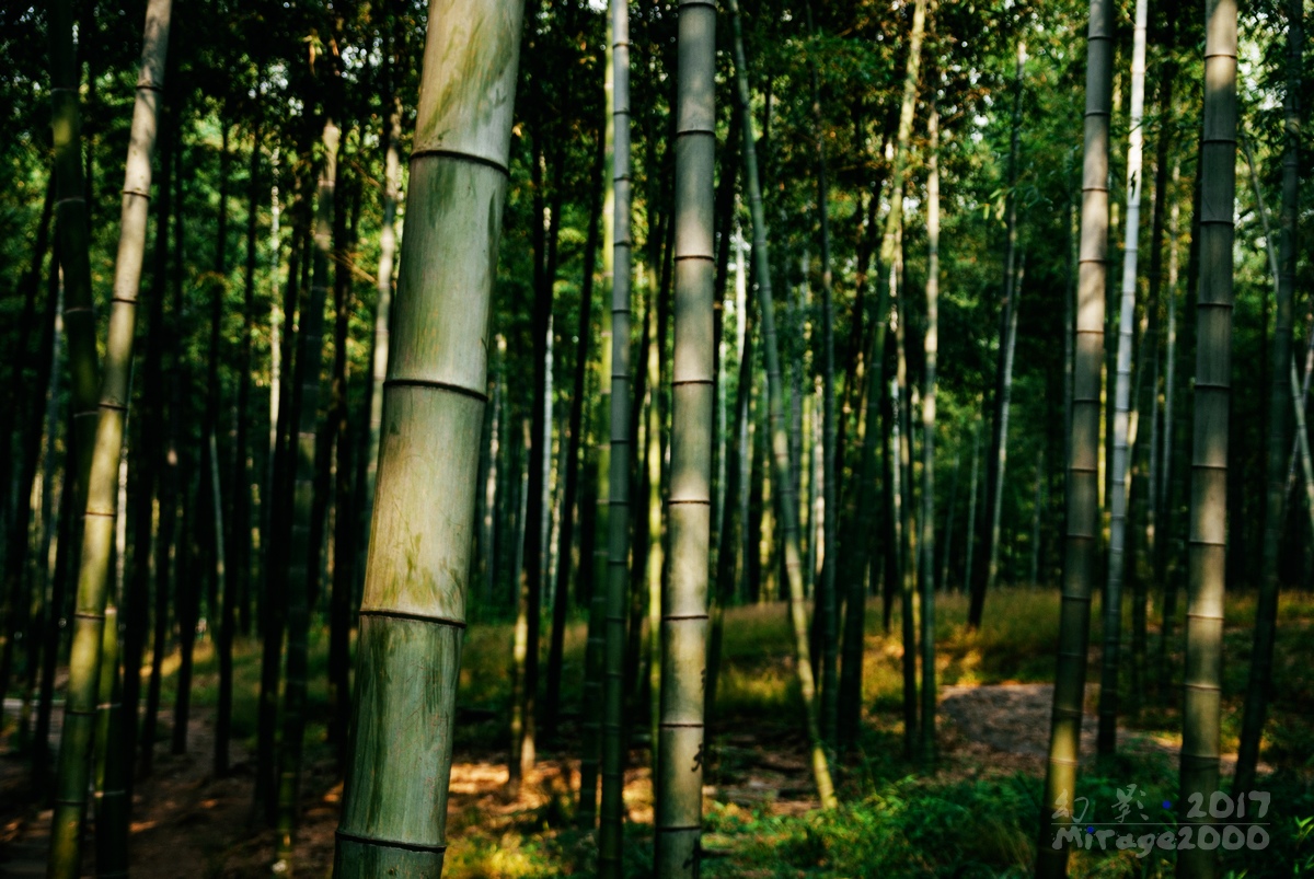 余杭十大旅游景点有哪些,余杭区山沟沟