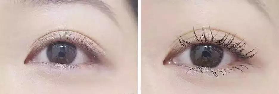 CPB、Dior等贵妇彩妆，真有吃土*党**专用平替款吗？