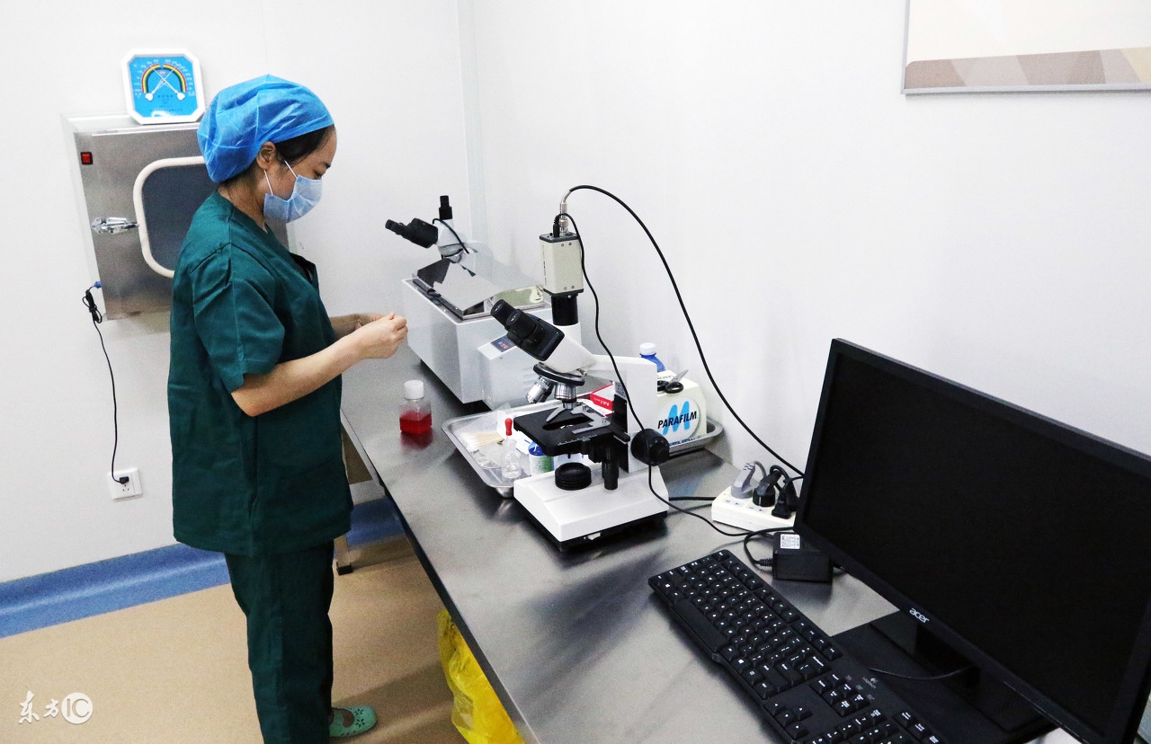 蜜蜂人工体内授精全过程,蜜蜂授精的正确方法