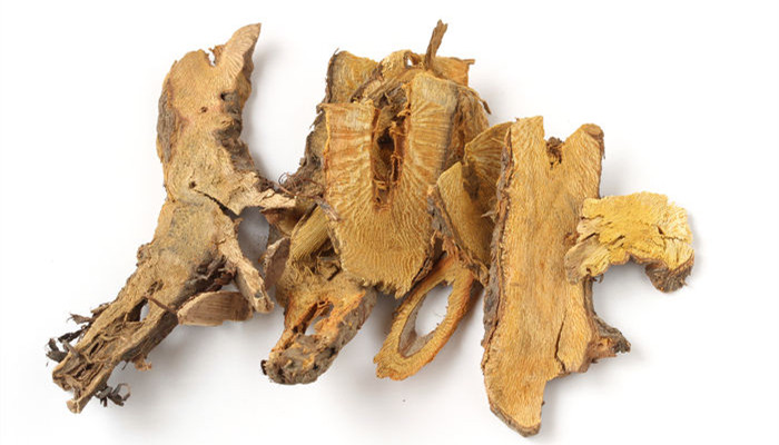 虎杖及虎杖提取物,虎杖根茎提取物