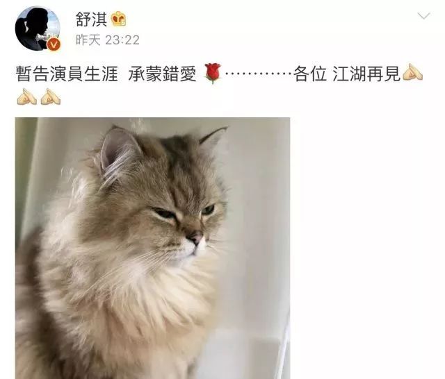 舒淇为什么突然告别演员生涯,舒淇22岁到43岁颜值变化