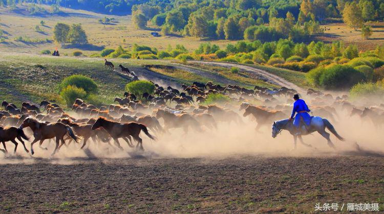 内蒙古大草原骑马狂奔照片,草原天堂写真